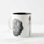 Gehirn aufgedeckt zweifarbige tasse (Vorderseite Links)