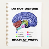 Gehirn bei der Arbeit nicht stören Anatomische Ber Planer (Vorderseite)