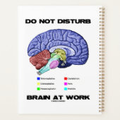 Gehirn bei der Arbeit nicht stören Anatomische Ber Planer (Rückseite)