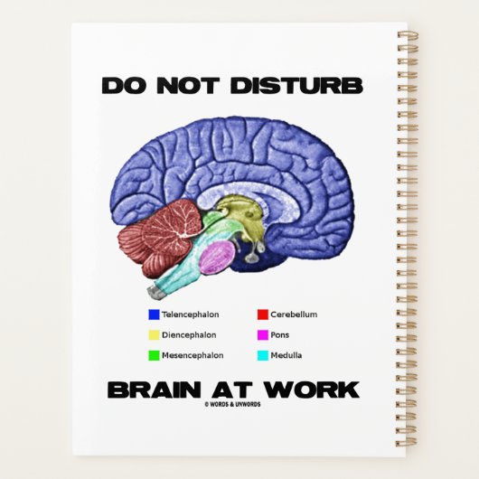 Gehirn bei der Arbeit nicht stören Anatomische Ber Planer (Rückseite)