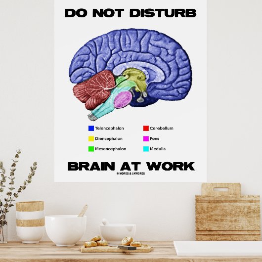 Gehirn bei der Arbeit nicht stören (anatomischer S Poster (Küche)