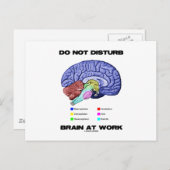 Gehirn bei der Arbeit nicht stören (anatomischer S Postkarte (Vorne/Hinten)