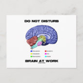Gehirn bei der Arbeit nicht stören (anatomischer S Postkarte (Vorderseite)