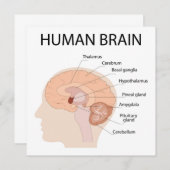 Gehirn Dankeskarte (Vorne/Hinten)