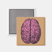 Gehirn der menschlichen Anatomie Magnet (Vorderseite/Rückseite)