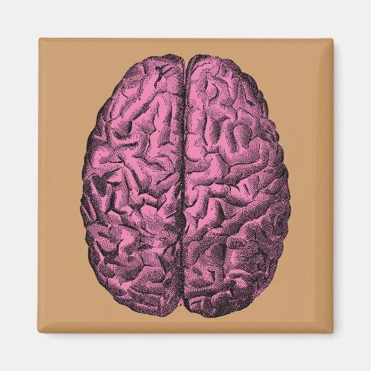 Gehirn der menschlichen Anatomie Magnet (Vorne)