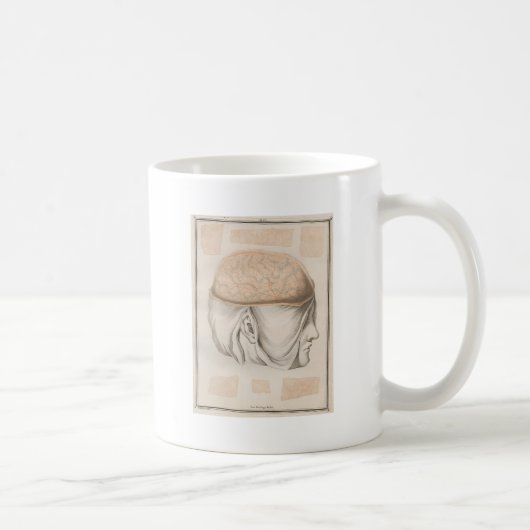 Gehirn eins - Neuroanatomie Kaffeetasse (Rechts)
