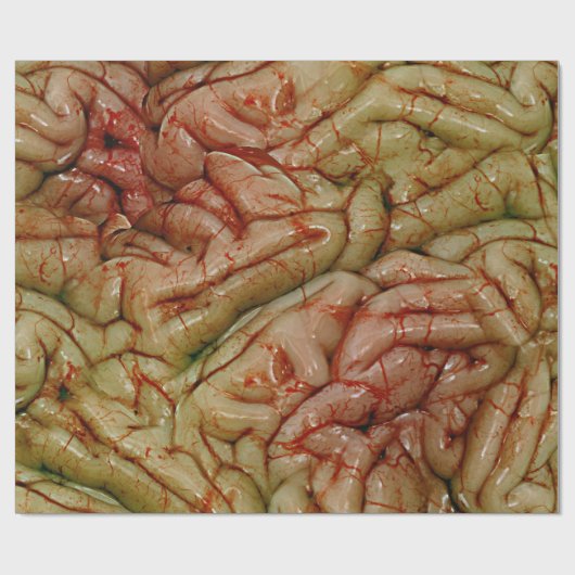 Gehirn, GehirnZZ BRAINZZZ Geschenkpapier (Flach)