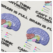 Gehirn ist kann mehr anatomischen Spaß nicht Stoff (Nahaufnahme)