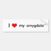 Gehirn-Liebe Autoaufkleber (Vorne)