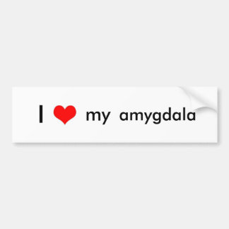 Gehirn-Liebe Autoaufkleber