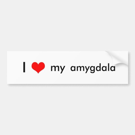 Gehirn-Liebe Autoaufkleber (Vorne)