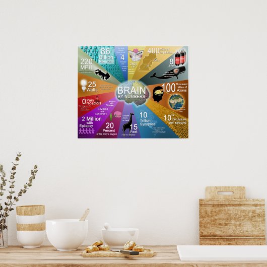 Gehirn nach Zahlen Poster (Küche)