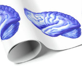 Gehirn-Papier 5 Geschenkpapier (Rolleneckpunkt)