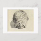 Gehirn Postkarte (Vorderseite)