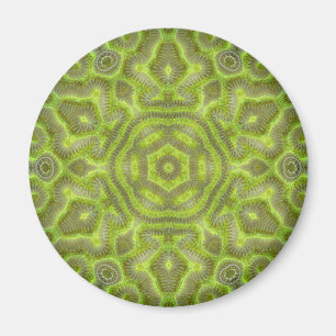 Gehirn-Stern Trilobite Magnet