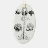 Gehirn und Wirbelsäule Keramik Ornament (Rechts)