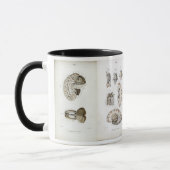 Gehirnanatomie-Druck-Tasse Tasse (Links)