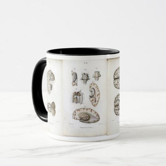 Gehirnanatomie-Druck-Tasse Tasse (Vorderseite Links)
