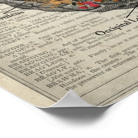 Gehirnanatomie mit Schmetterlingen und Blume Poster (Ecke)