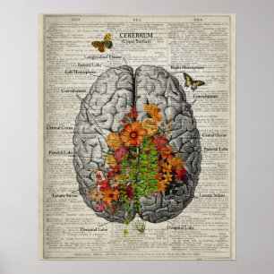 Gehirnanatomie mit Schmetterlingen und Blume Poster