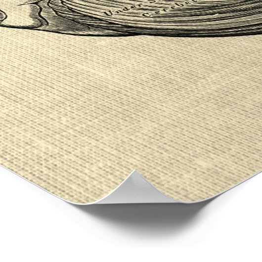 Gehirnanatomie Nr. 3 Kunst mit Cream Background Poster (Ecke)