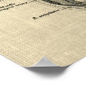 Gehirnanatomie Nr. 5 mit Cream Background Poster (Ecke)