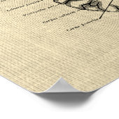 Gehirnanatomie Nr. 9 mit Cream Background Poster (Ecke)