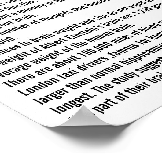 Gehirndaten Poster (Ecke)