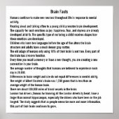 Gehirndaten Poster (Vorne)