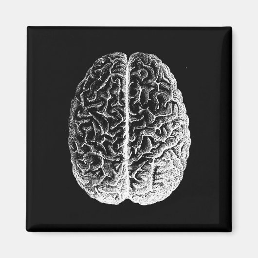 Gehirne! Magnet (Vorne)