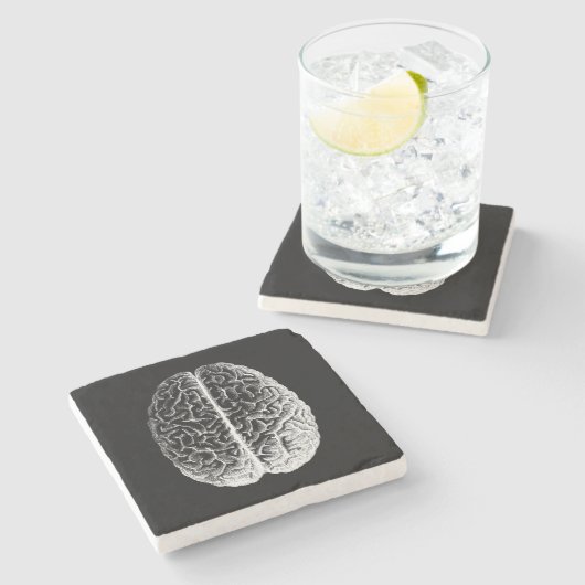 Gehirne! Steinuntersetzer (Seitenansicht)