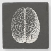 Gehirne! Steinuntersetzer (Vorderseite)