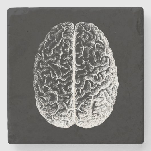 Gehirne! Steinuntersetzer (Vorderseite)
