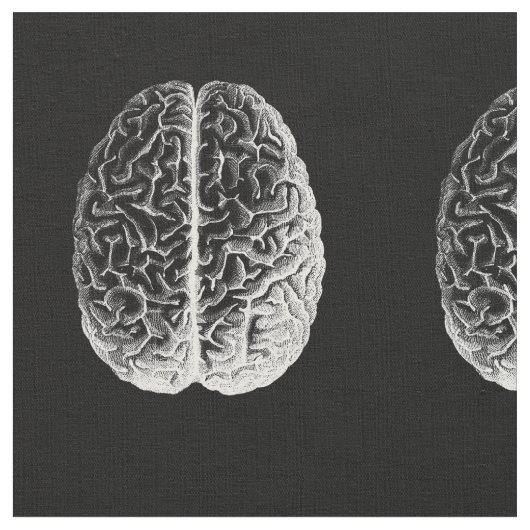 Gehirne! Stoff (Nahaufnahme)