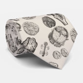 Gehirngeschichte Krawatte (Gerollt)