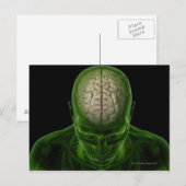 Gehirngeschichten Postkarte (Vorne/Hinten)