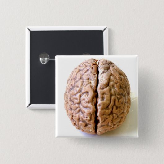 Gehirnknopf Button (Vorne & Hinten)
