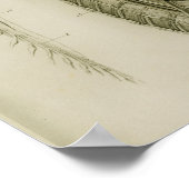 Gehirnspinalkord Nerves Anatomie drucken Poster (Ecke)