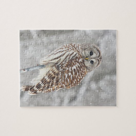Gehockte Eule - Puzzlespiel Puzzle (Horizontal)