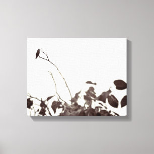 Gehockte Kolibri-14x11 eingewickelte Leinwand