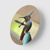 Gehockter karminroter und grüner kleiner Kolibri Runde Wanduhr (Winkel)
