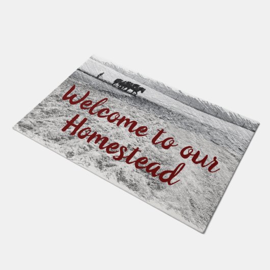 Gehöfttürmatte Fußmatte (Schrägansicht)