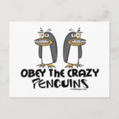 Gehorche den verrückten Pinguinen! Postkarte (Vorderseite)