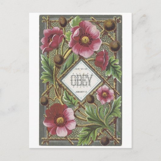 Gehorche Postkarte (Vorderseite)
