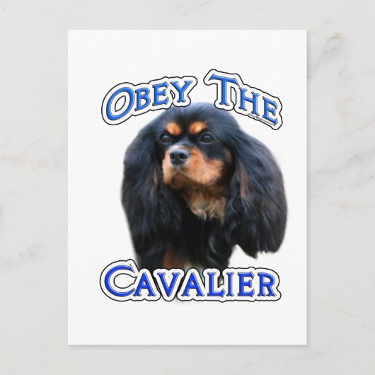 Gehorchen der Cavalier Postkarte (Vorderseite)