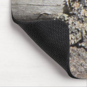 Gehörnte Eidechse Mousepad (Ecke)