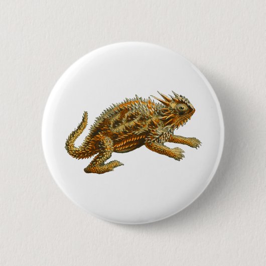 Gehörnte Eidechse Texas Button (Vorderseite)