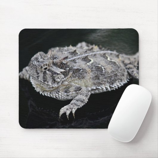 Gehörnte Eidechse Texas - Texas-Staats-Reptil Mousepad (Mit Mouse)
