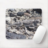 gehörnte Kröte Mousepad (Mit Mouse)